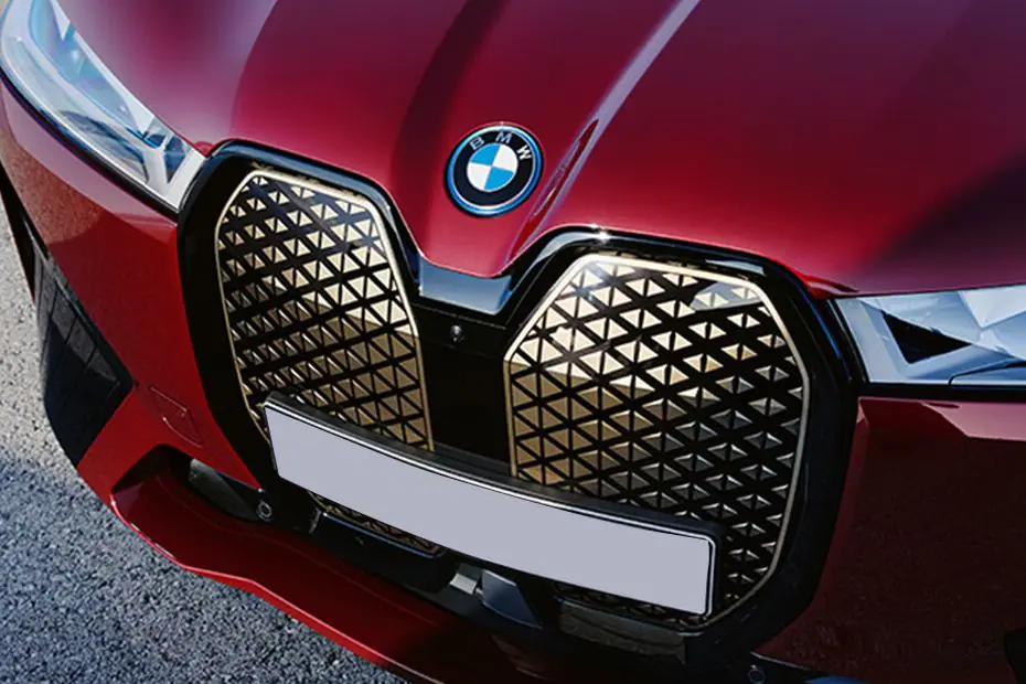BMW iX Grille View