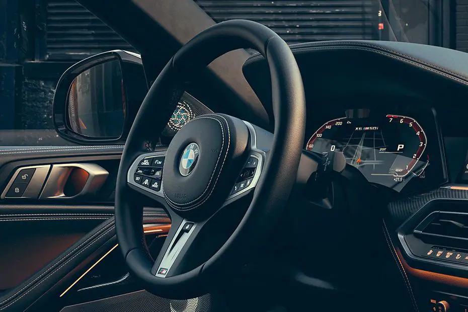 BMW X6 Steering Wheel View